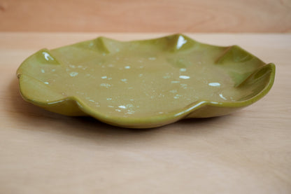 spring fields starter plate