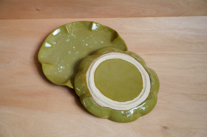 spring fields starter plate